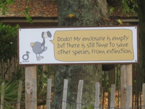 We went to the Durrell Wildlife Park. The man behind this park was a pioneer in saving animals from extinction. This was the first enclosure you see as you walk in. 